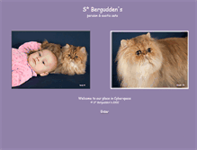 Tablet Screenshot of bergudden.com